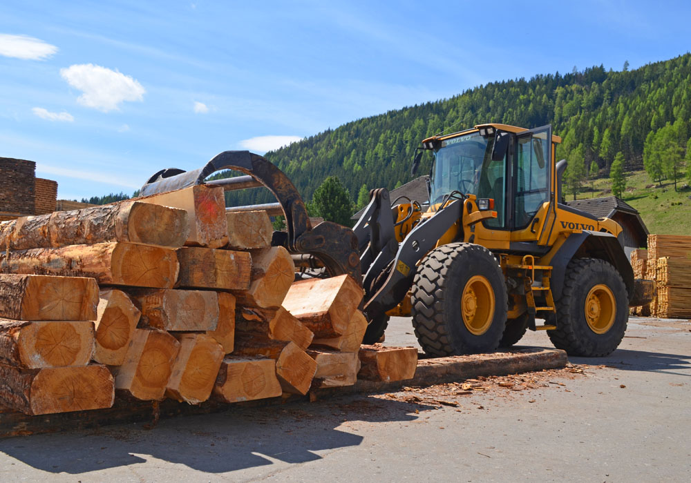 Dienstleistungen Sägewerk Lungau