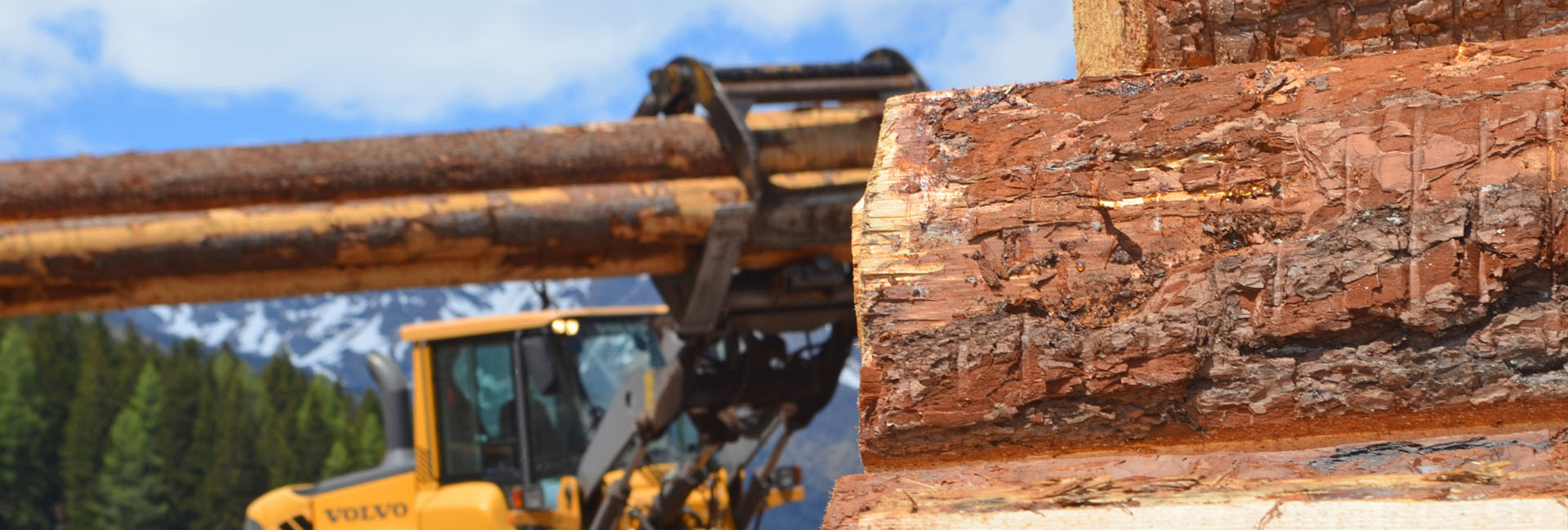 Holz Lungau Bogensperger